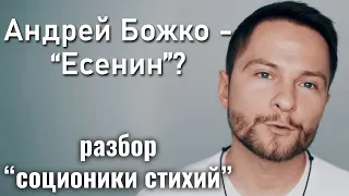 Андрей Божко -  Есенин? Что не так с "соционикой стихий"? | Благостная соционика. Центр Архетип