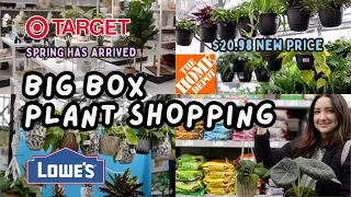 Plant Shopping 3 Locations! What's new for Spring 🌸 | January 2024