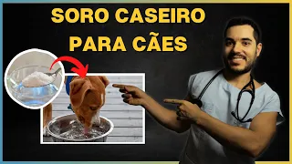 APRENDA HOJE a fazer Soro Caseiro para CACHORRO. Soro Caseiro para Cachorro Vomitando e com Diarreia