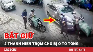 Tối 19/10 | Bắt 2 kẻ trộm chó bị tài xế ô tô ở TPHCM tông ngã | BLĐ