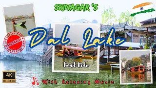 Srinagar Dal Lake 🚣🏾‍♂️🇮🇳 Enjoy The Shikara Boat Ride With Peaceful Relaxing Music #travel #srinagar