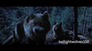 NEW wolf scenes | Twilight 2-4.1 scenes HD.wmv