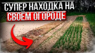 ДОРОГАЯ НАХОДКА НА СВОЁМ ОГОРОДЕ//НА ОГОРОД ХОЖУ ТОЛЬКО ЗА УРОЖАЕМ .#огород #деревенскаяжизнь