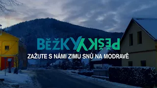 Tip na výlet | Běžky nebo pěšky… zažijte s námi zimu snů - Modrava