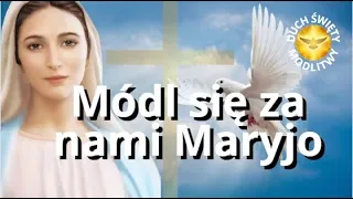 MODLITWA ❤️ MÓDL SIĘ ZA NAMI MARYJO ❤️ BŁOGOSŁAWIEŃSTWO 🎵