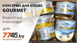 Консервы для кошек GOURMET Gold паштет с курицей Видеоотзыв (обзор) Александра