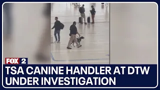 TSA canine handler at DTW under investigation for aggressively pulling dog | FOX 2 News