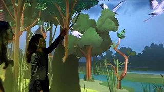 AR Interactive wall and ground
