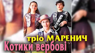 Тріо Маренич - Котики вербові