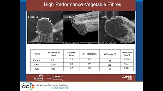 Recent Advances on High-Performance Bio-Based Cement Composites and Concrete (View from Brazil)