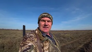 Охота на зайца от первого лица.  Открытие 2021. Hare hunting in the first person .