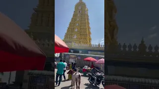 Chamundeshwari temple mysore, last day of infosys training #minivlog