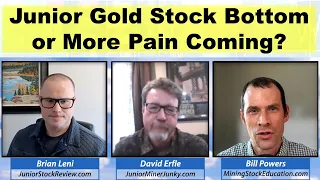 Junior Gold Stock Bottom or More Pain Coming? with Pro Mining Investors Brian Leni and David Erfle