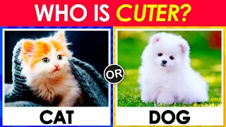 Pick One Kick One - Animals Edition 🐱🐶