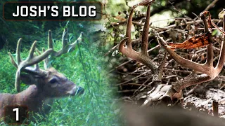 A Drop Tine Giant Has Appeared, EHD Buck Found | Josh's Blog #hunting