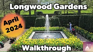 🌷SPRING 2024 Walkthrough 4K Longwood Gardens #botanical #spring