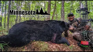 2020 Minnesota Black Bear Hunt - BIG BEAR!!! - Minnesota Outdoor Journal