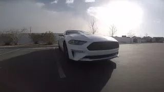 Refreshing or Revolting? 2018 Ford Mustang