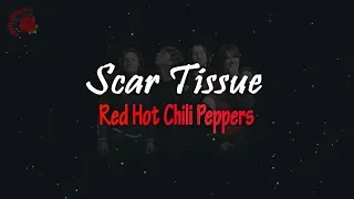 Red Hot Chili Peppers - Scar Tissue │ LIRIK TERJEMAHAN Best Cover Carvel