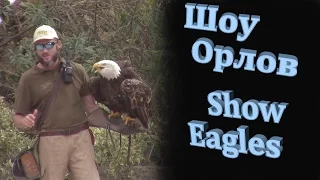 СМОТРЕТЬ ШОУ ОРЛОВ Тенерифе Канары путешествие Ярослава WATCH EAGLES  Canary Islands travel Yaroslav