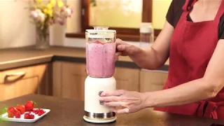 Smoothie mixér PRESIDENT 0,6 l