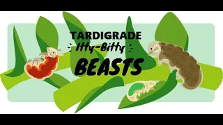 Tardigrade: Meet the tardigrade, the toughest animal on Earth