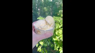 How to Make Carnivore Ice Cream (The Most Nutrient Dense Treat)!