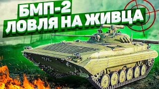 БМП-2 ЛОВЛЯ НА ЖИВЦА в War Thunder