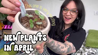 New Plants Alert! 🚨 Tracking My April 2024 Plant Purchases 💸🌵