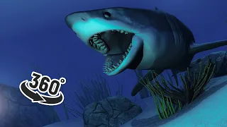 360° Explore The Underwater World ( Recolor ) - VR Experience