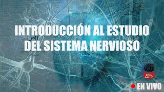 [DIRECTO] Introducción al estudio del sistema nervioso