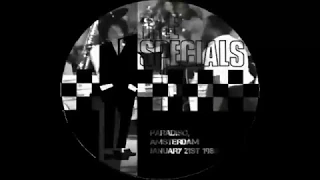 Dawning of a new era. - The Specials - Live in Amsterdam