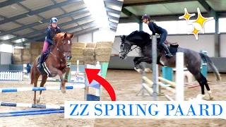 Parcours op een ZZ springpaard! Zo gaaf! | felinehoi VLOGMAS #299