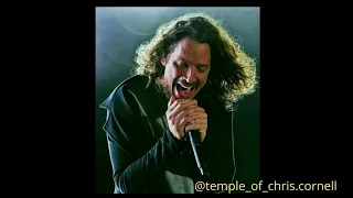 In loving memory of Chris Cornell - 1964/2017 last part