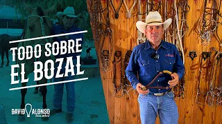 Todo sobre el bozal