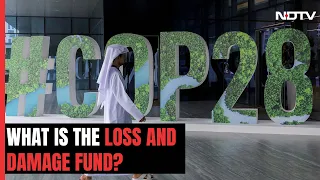 COP28 Explained | What Is The Loss And Damage Fund And Why It's Key For COP28