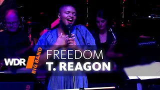 Lizz Wright & WDR Big Band - Freedom