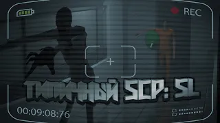 Типичный SCP: SL...