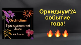 Весенний «Орхидиум» 2024 - лучшее событие для орхоманов! 🏃‍♀️‍➡️😲🌸