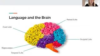 Neurolinguistics: first and second language acquisition