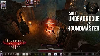 Divinity: Original Sin 2 {SOLO} Undead Rogue vs Houndmaster and co.