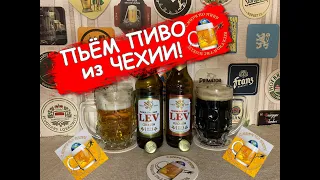 Пробую два чешских региональных пива "LEV": светлое и тёмное!