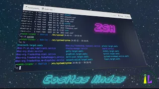 Terminal en tu GNU/Linux a otro nivel | ZSH Ohmyzsh Pluggins