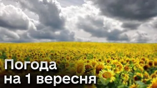 🍁 Осінь прийшла! В Україні різко змінилася погода!