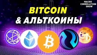 БИТКОИН и АЛЬТКОИНЫ 2024 - 2025