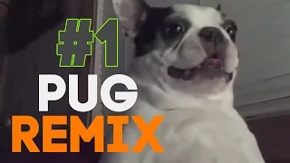 Pug   Remix