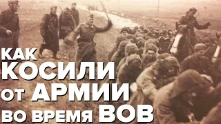 КАК КОСИЛИ ОТ АРМИИ ВО ВРЕМЯ ВЕЛИКОЙ ОТЕЧЕСТВЕННОЙ ВОЙНЫ?