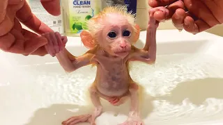 A day of lovely baby Bibi 🐵 Bath - Eat - Sleep