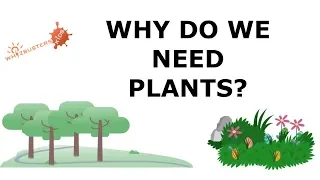 Why do we need plants?