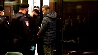 Russia accuses West of Navalny hysteria